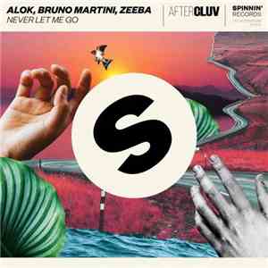 Alok, Bruno Martini , Zeeba - Never Let Me Go download mp3 flac