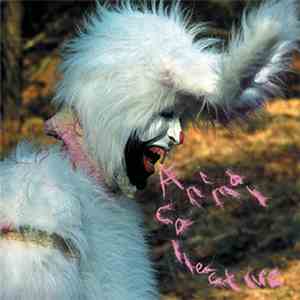 Animal Collective - Who Could Win A Rabbit download mp3 flac