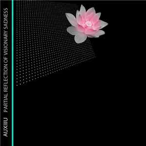 Auxillu - Partial Reflection Of Visionary Sadness download mp3 flac