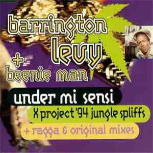 Barrington Levy & Beenie Man - Under Mi Sensi download mp3 flac