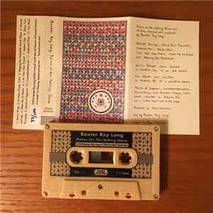 Baxter Roy Long - Palms On The Setting Stone download free