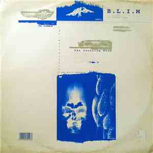 B.L.I.M - The Counting Room EP download mp3 flac