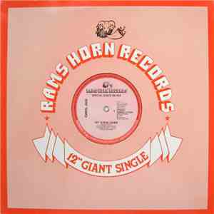 Carol Jiani - Hit 'N Run Lover (Special Disco Re-Mix) download mp3 flac