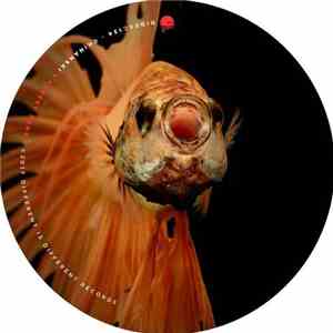 Chinanski - Cheeky Puns download mp3 flac