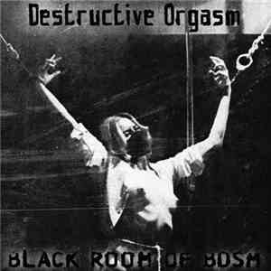 Destructive Orgasm - Black Room Of BDSM download mp3 flac
