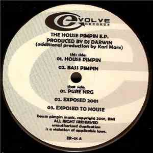 DJ Darwin - The House Pimpin E.P. download mp3 flac