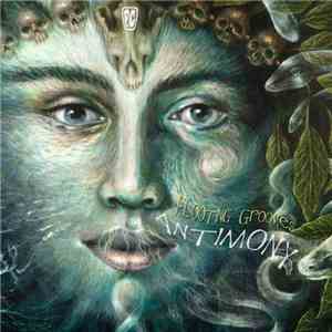Flooting Grooves - Antimony download mp3 flac