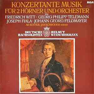 Friedrich Witt, Joseph Fiala, Georg Philipp Telemann, Johann Georg Feldmayer - Konzertante Musik Für 2 Hörner Und Orchester download free