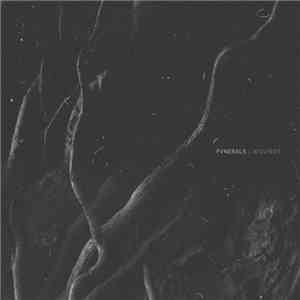 FVNERALS - Wounds download mp3 flac