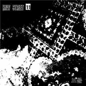 보를 - HNW Street 11 download mp3 flac