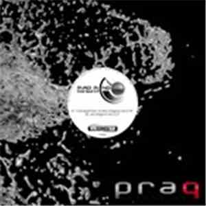 Madmind - Cold Spell EP download mp3 flac