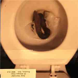 Mr. Science  - Shit download mp3 flac