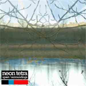 Neon Tetra - Upset / Surroundings download free