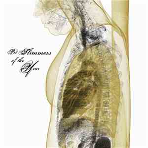 Pet Slimmers Of The Year - ...And The Sky Fell download mp3 flac