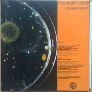 Phobophobes - Human Baby download mp3 flac