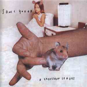 Sonic Youth - A Thousand Leaves download free