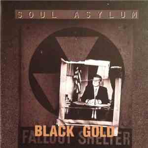 Soul Asylum  - Black Gold download mp3 flac
