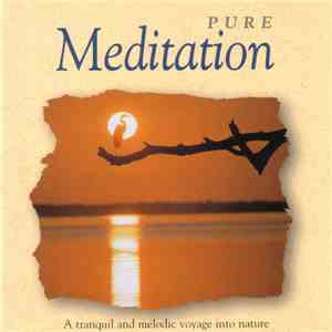 The Global Vision Project - Pure Meditation download mp3 flac