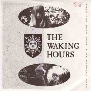 The Waking Hours - What You Don't Know / I'm Falling Down download mp3 flac