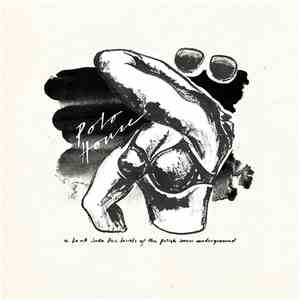 Various - Polo House - A Look Into The Bowels Of The Polish House Underground download mp3 flac