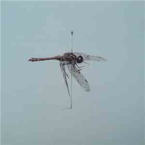 Warm Widow - Widower download free