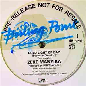 Zeke Manyika - Cold Light Of Day download mp3 flac